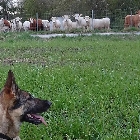 Ferienhof-rietschen-neuliebel Lägenhet Rietschen