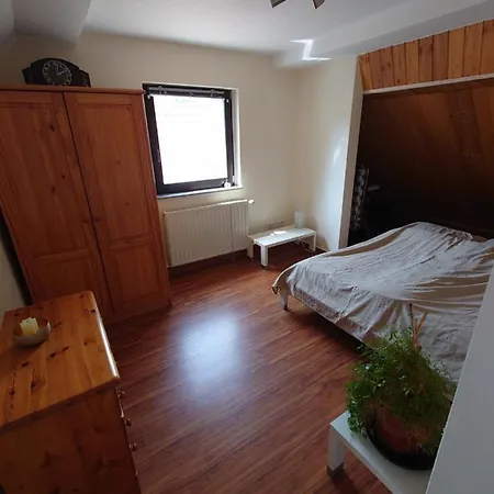 Ferienhof-rietschen-neuliebel Apartment