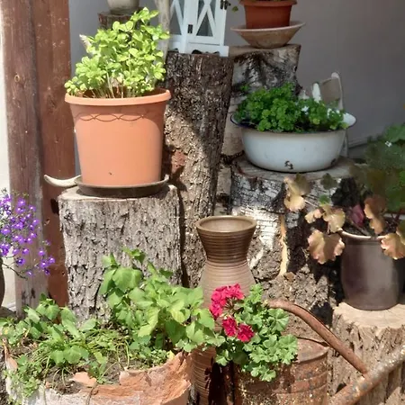 Ferienhof-rietschen-neuliebel 公寓 *