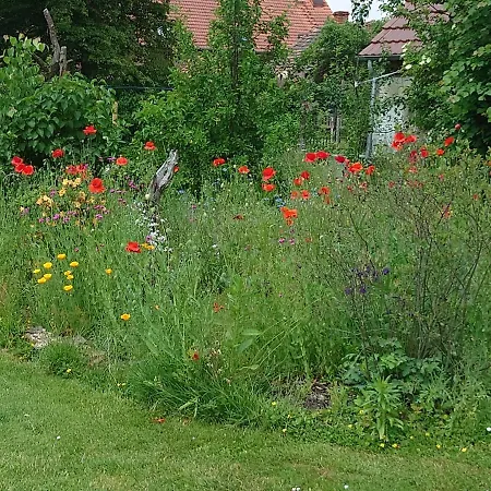 Lägenhet Ferienhof-rietschen-neuliebel