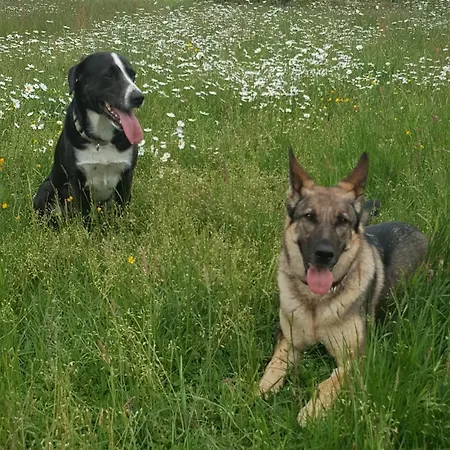 Ferienhof-rietschen-neuliebel Lägenhet *