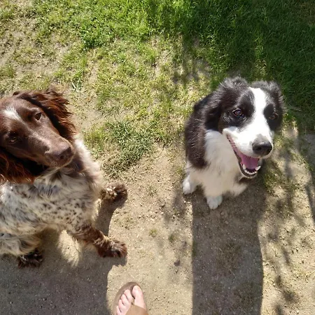 Ferienhof-rietschen-neuliebel Rietschen