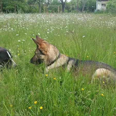 Ferienhof-rietschen-neuliebel Lägenhet *