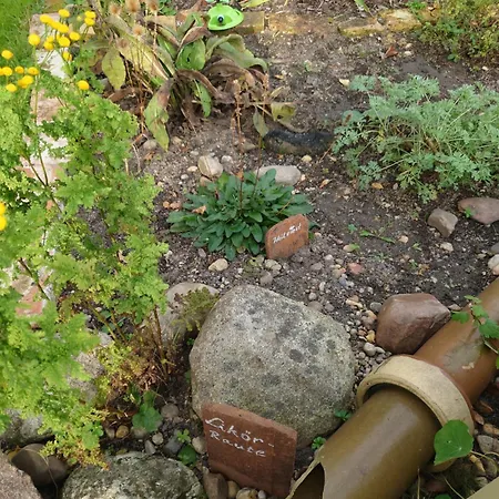 Ferienhof-rietschen-neuliebel 公寓 *