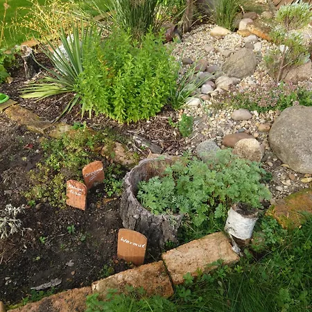 公寓 Ferienhof-rietschen-neuliebel *