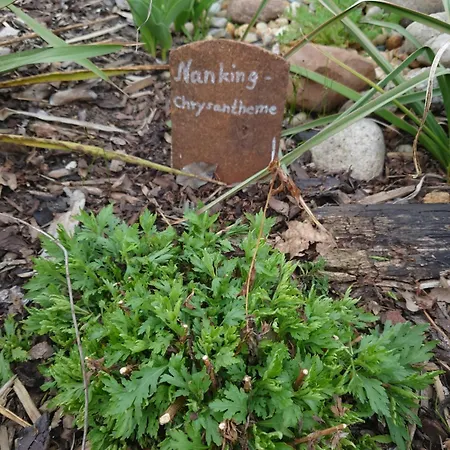 Ferienhof-rietschen-neuliebel *