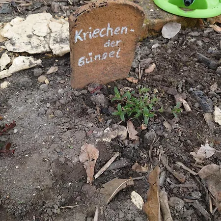 Ferienhof-rietschen-neuliebel Rietschen