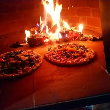 公寓 Ferienhof-rietschen-neuliebel *