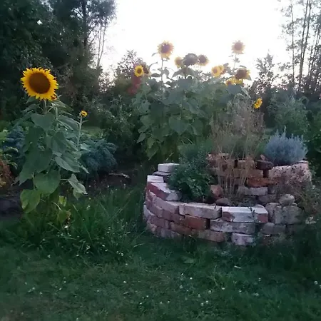 Ferienhof-rietschen-neuliebel