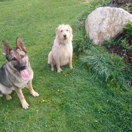 Ferienhof-rietschen-neuliebel 公寓 Rietschen