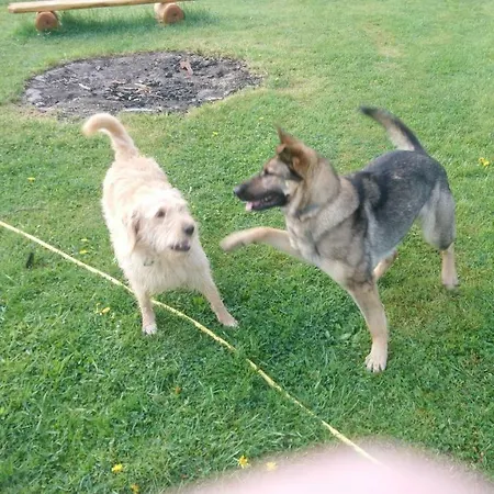 Ferienhof-rietschen-neuliebel * Rietschen