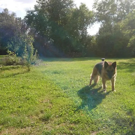 Ferienhof-rietschen-neuliebel 公寓 Rietschen