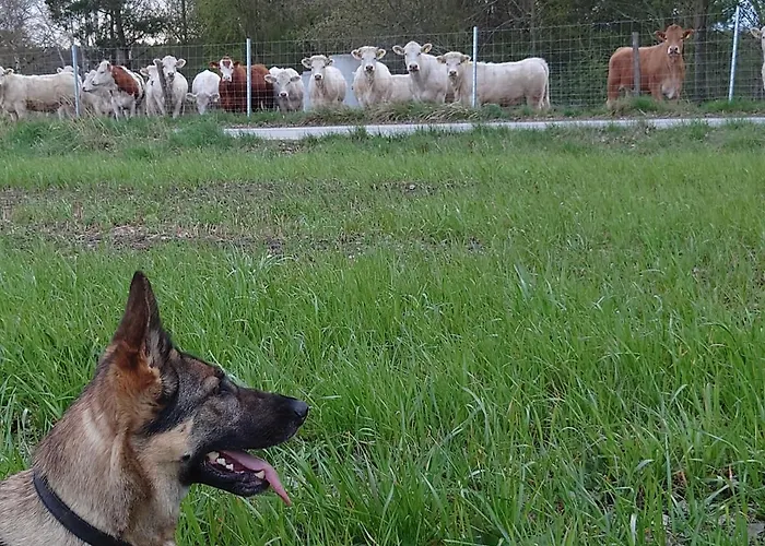 Ferienhof-rietschen-neuliebel アパート Rietschen