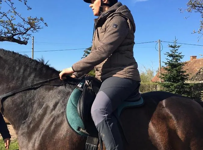 Ferienhof-rietschen-neuliebel