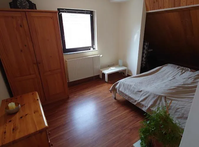 Ferienhof-rietschen-neuliebel Apartment