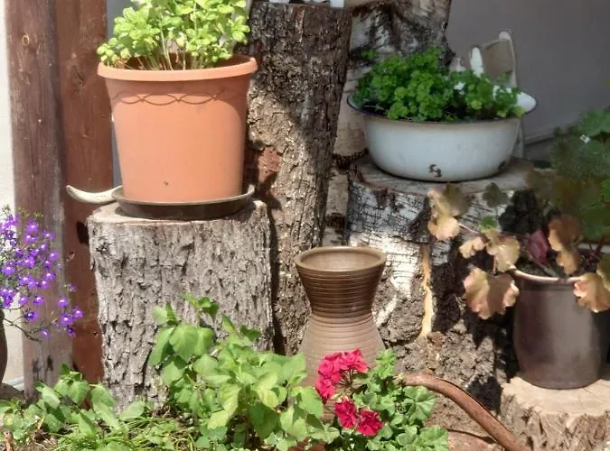 Ferienhof-rietschen-neuliebel Apartment *