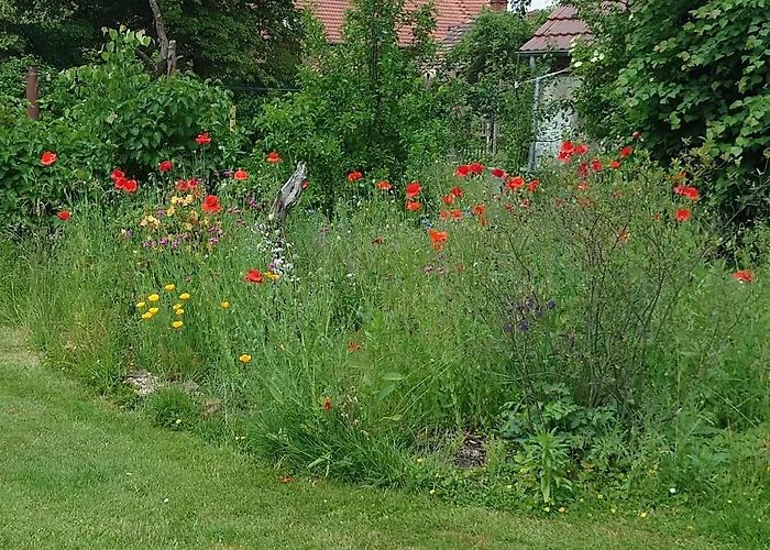 アパート Ferienhof-rietschen-neuliebel