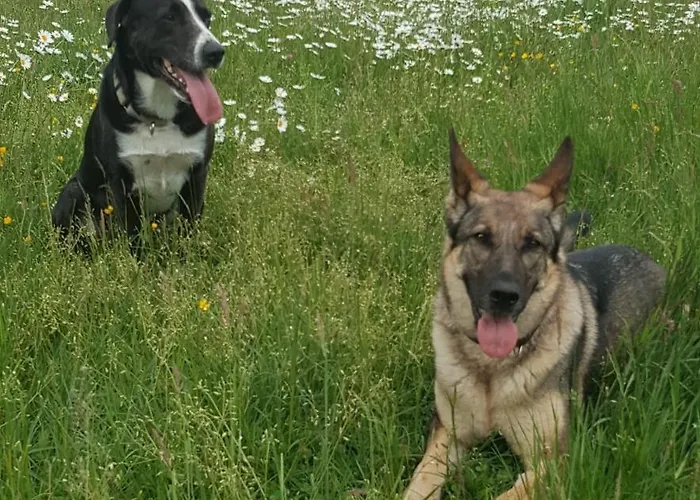 Ferienhof-rietschen-neuliebel Apartment *