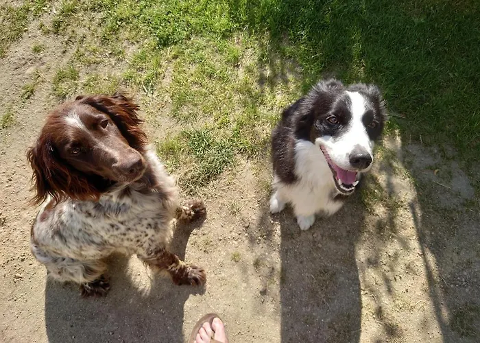 Ferienhof-rietschen-neuliebel Rietschen