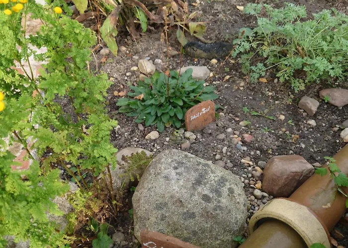 Ferienhof-rietschen-neuliebel アパート *