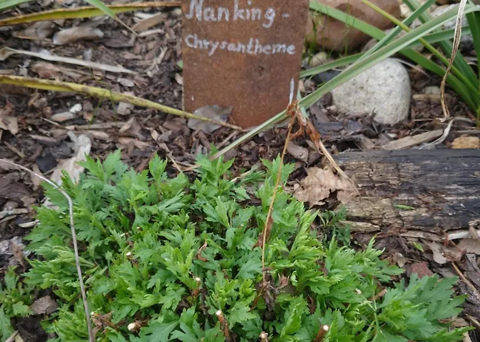 Ferienhof-rietschen-neuliebel *