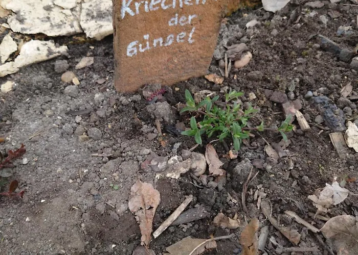 Ferienhof-rietschen-neuliebel Rietschen