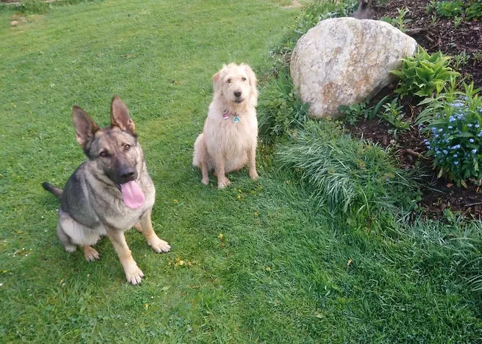 Ferienhof-rietschen-neuliebel Apartment Rietschen