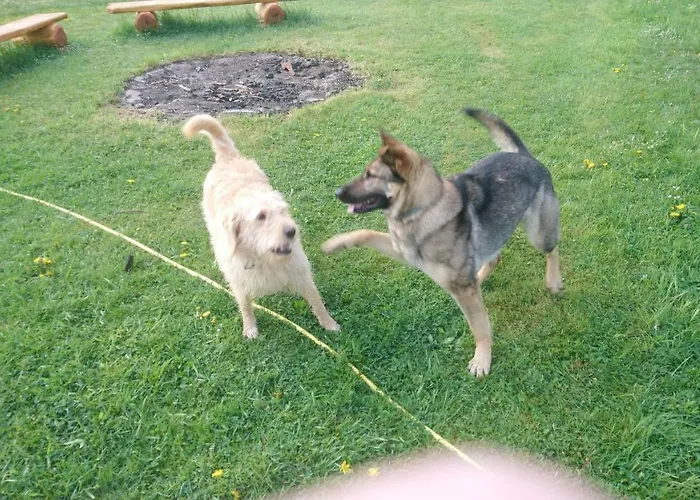 Ferienhof-rietschen-neuliebel * Rietschen