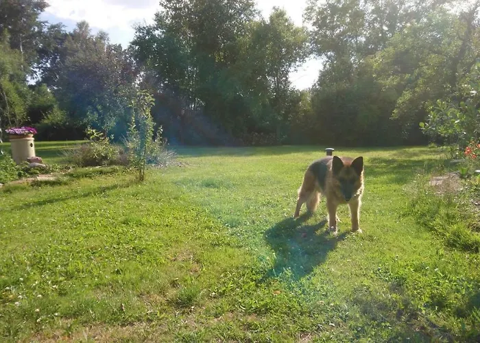 Ferienhof-rietschen-neuliebel アパート Rietschen